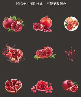 石榴素材