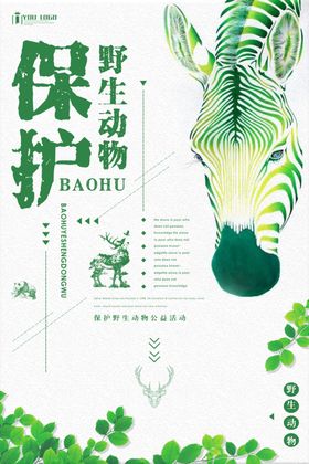 保护野生动物公益海报