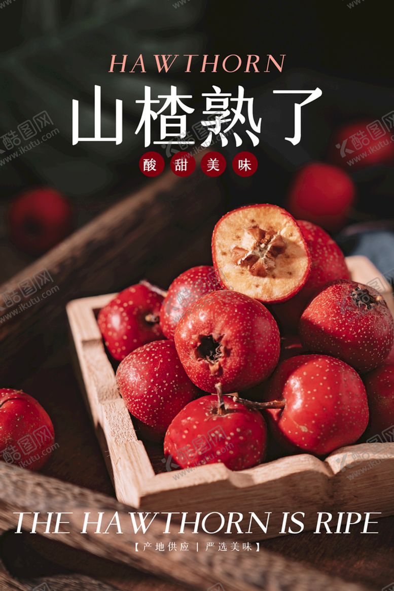 编号：61753209251619525386【酷图网】源文件下载-山楂