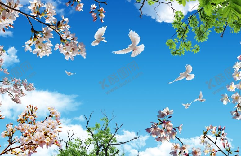 编号：21799509181842499040【酷图网】源文件下载-工装背景墙