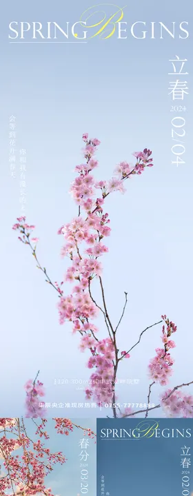 立春节气手绘花卉海报