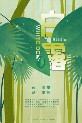 白露插画地产稿手机海报水滴