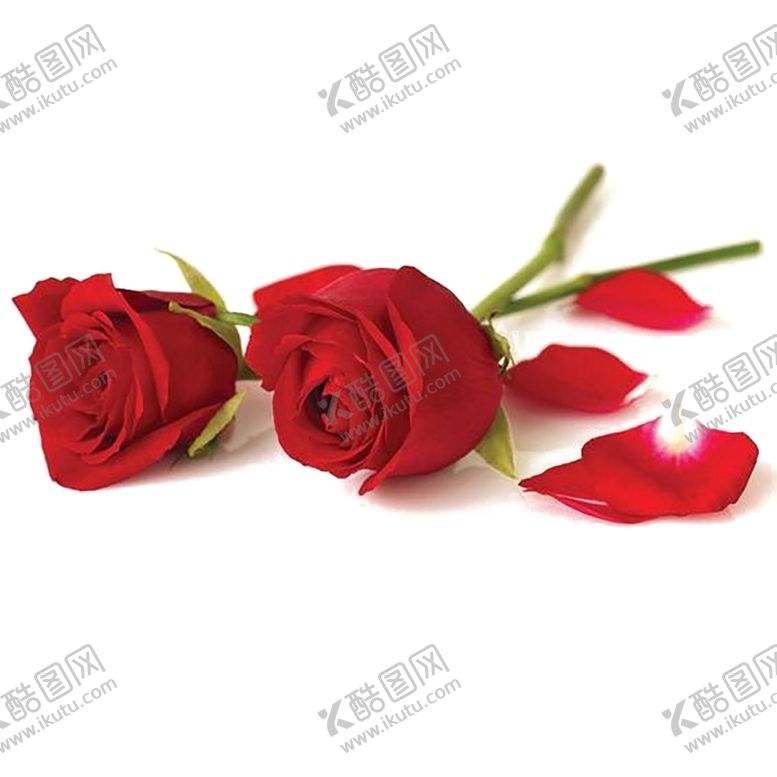 编号：86538805110516591950【酷图网】源文件下载-手绘植物花卉