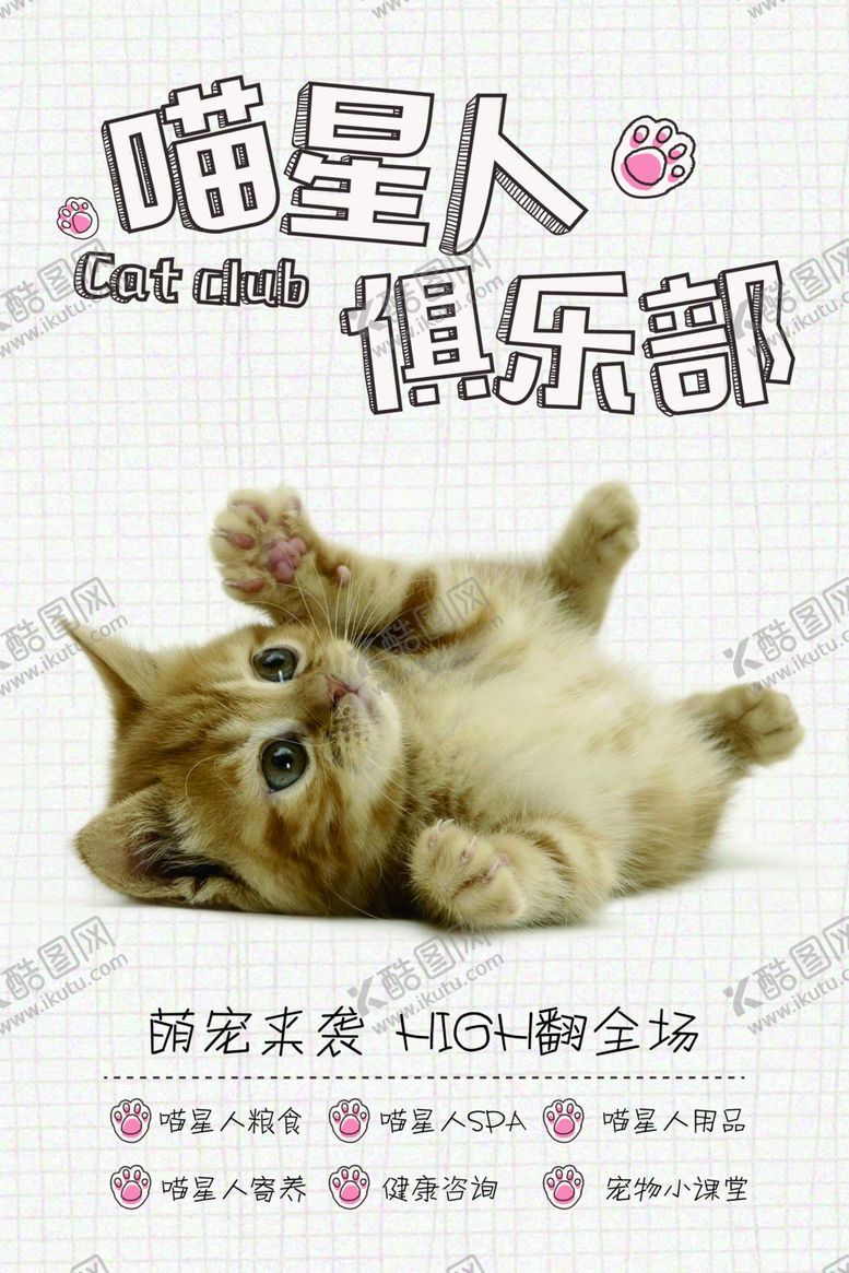 编号：25379309201738157361【酷图网】源文件下载-宠物海报