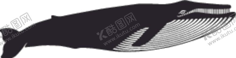 编号：29660809230055469843【酷图网】源文件下载-海洋生物系列长须鲸