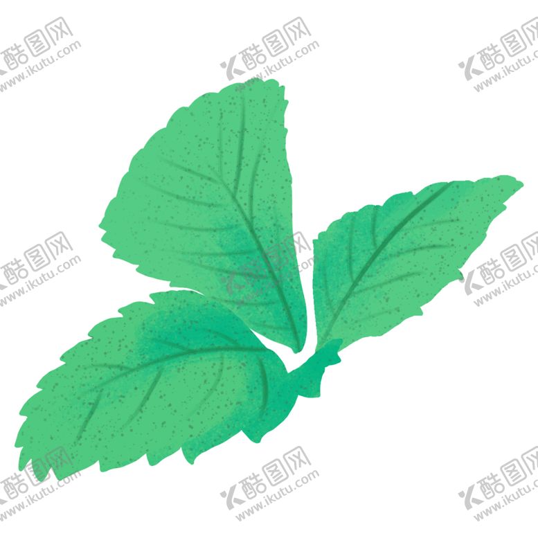 编号：30273502090036185788【酷图网】源文件下载-春季绿色草莓叶子