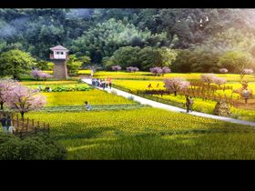 乡村建设稻田花海效果图