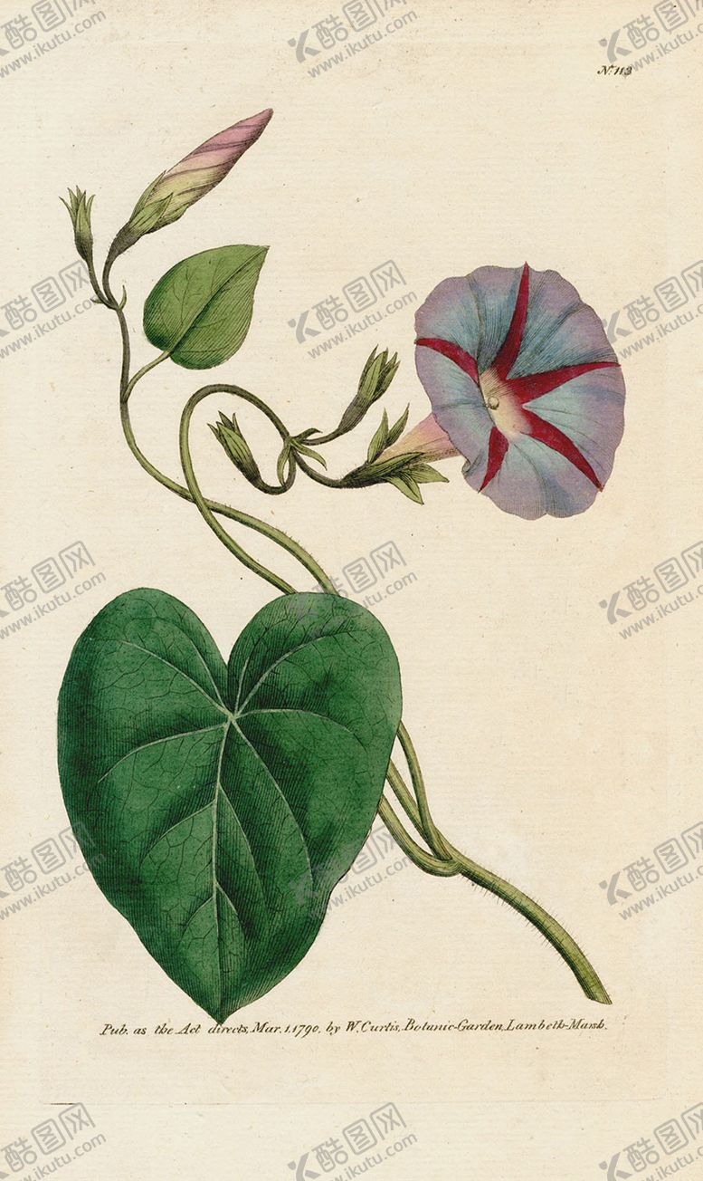编号：94947705130939106897【酷图网】源文件下载-欧式复古色调花朵植物