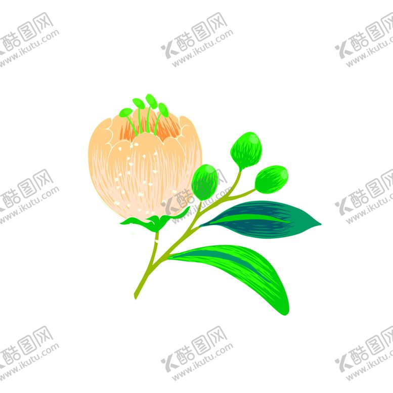 编号：86467409230045386198【酷图网】源文件下载-花素材