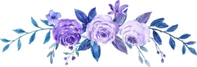 水彩花卉PNG插画透明图