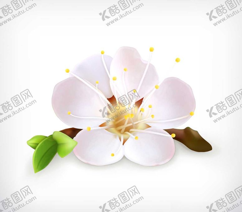 编号：42218307060919054470【酷图网】源文件下载-卡通花朵