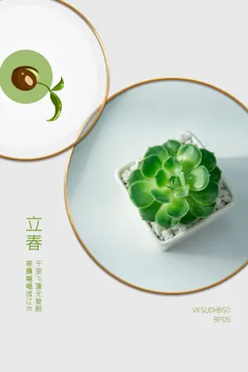 立春插画图片动漫壁纸浪漫文艺范