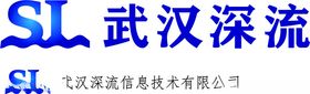 武汉深流logo