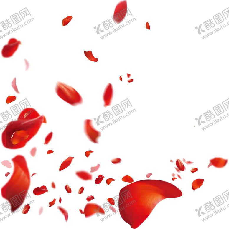 编号：94121601170741521240【酷图网】源文件下载-玫瑰花瓣