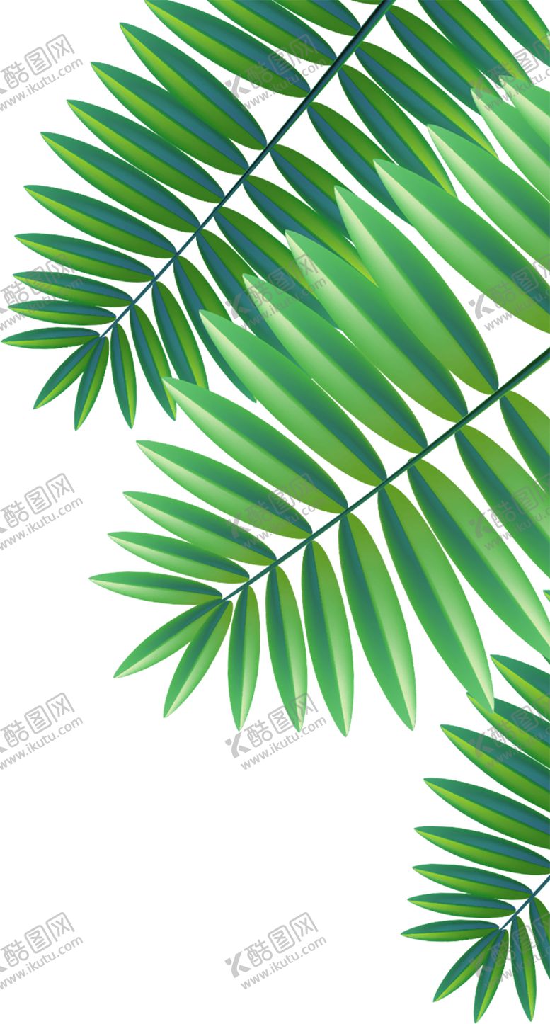 编号：88548909242324256778【酷图网】源文件下载-树叶