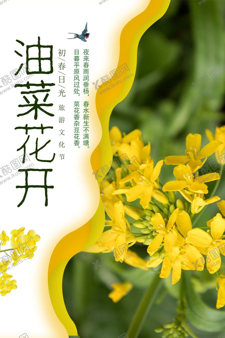 编号：85435807030822099480【酷图网】源文件下载-油菜花