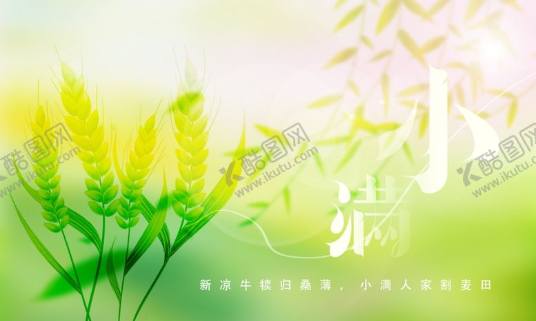 编号：19960305250233157881【酷图网】源文件下载-小满节气清新花卉背景图