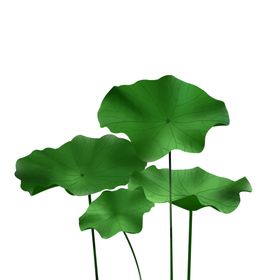 荷花元素朵材植物朵装饰