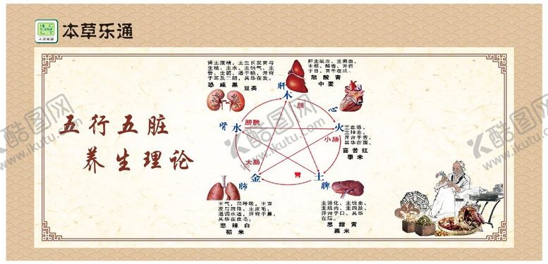编号：75918001301215043063【酷图网】源文件下载-五行五脏