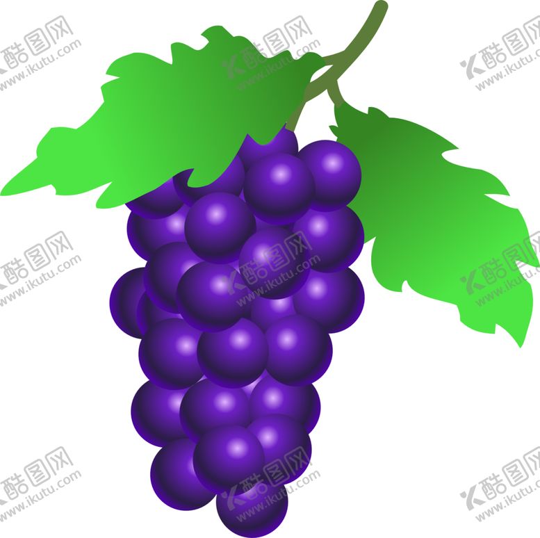 编号：31141204200251382114【酷图网】源文件下载-葡萄