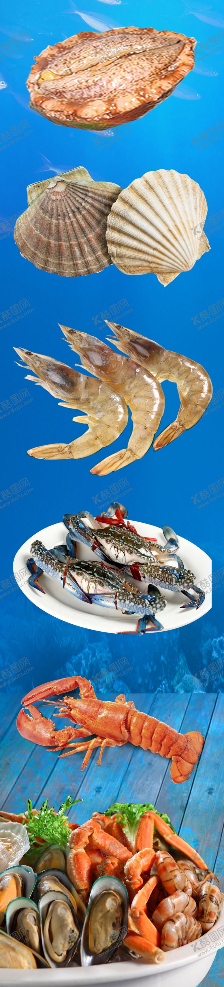 编号：45320109191306204517【酷图网】源文件下载-海鲜背景