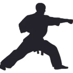 武术格斗剪影