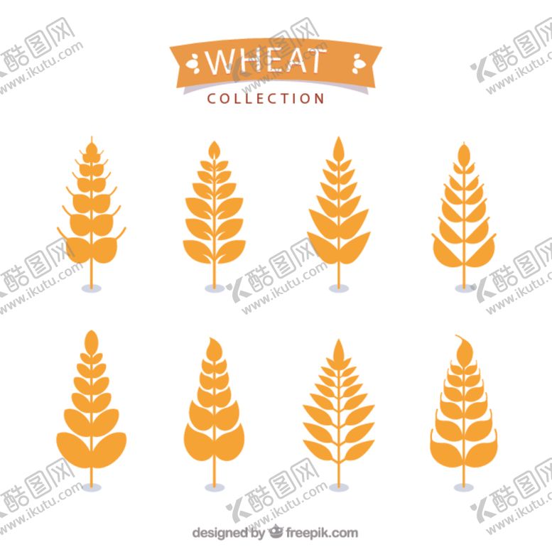 编号：98660311011100215808【酷图网】源文件下载-金色小麦