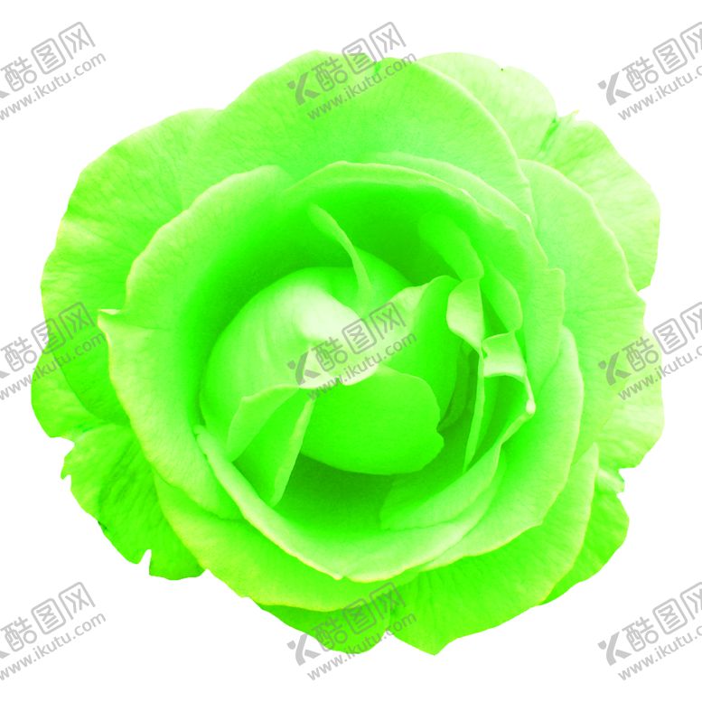 编号：16467809260015209313【酷图网】源文件下载-花素材