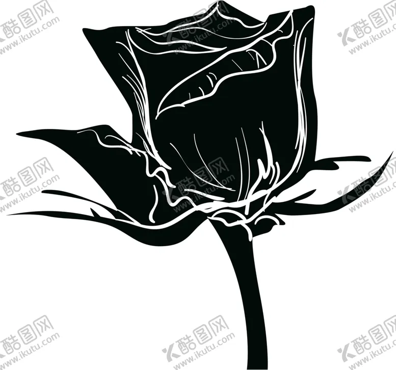 编号：63034306301556573516【酷图网】源文件下载-花素材