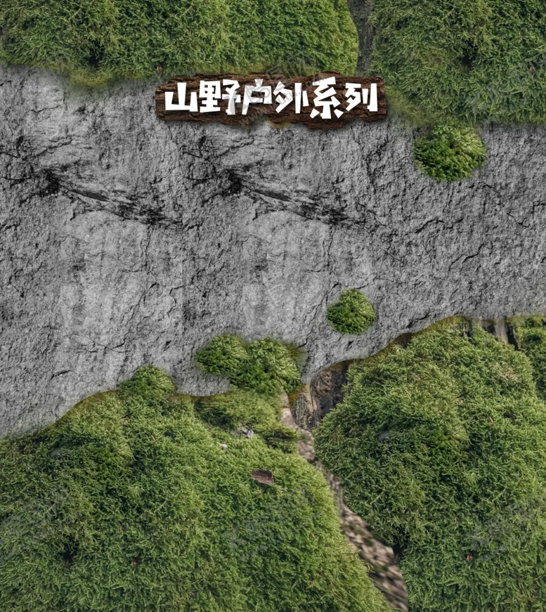 编号：57418802272054153218【酷图网】源文件下载-山野石头草