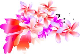 鲜花素材卉风信子底纹边框