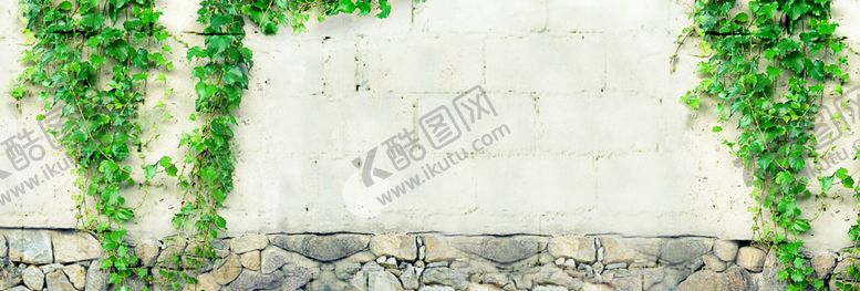 编号：60290407071245554393【酷图网】源文件下载-墙爬山虎植物