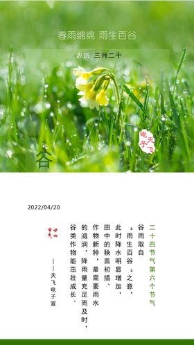 二十四节气06谷雨