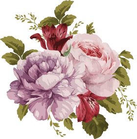 牡丹花