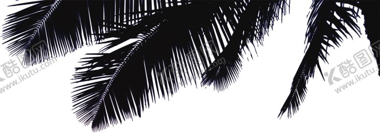 编号：92292810030919273406【酷图网】源文件下载-椰树前景树