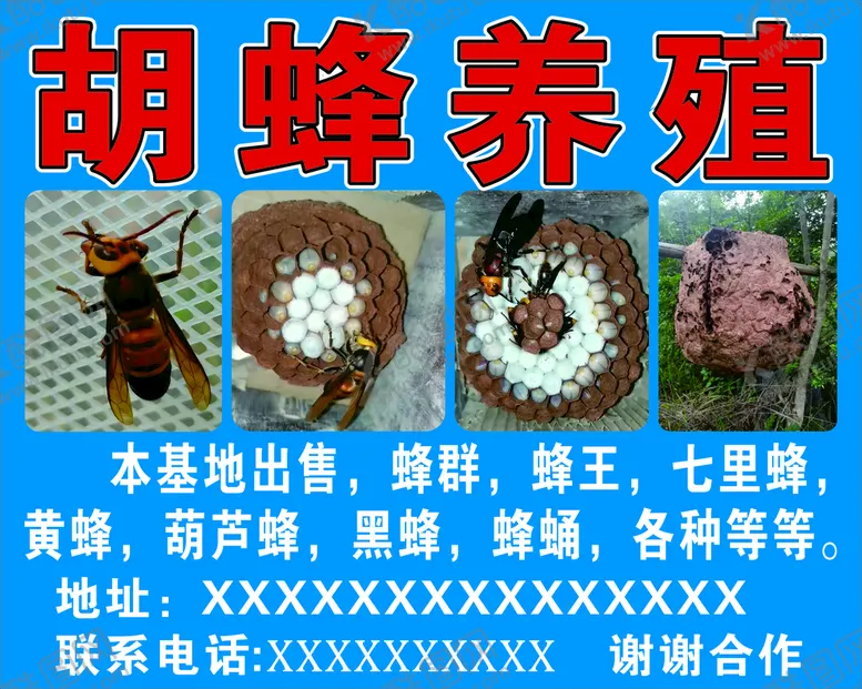 编号：44176210162018453515【酷图网】源文件下载-蜜蜂养殖