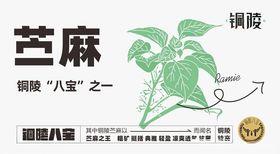 铜陵八宝之苎麻