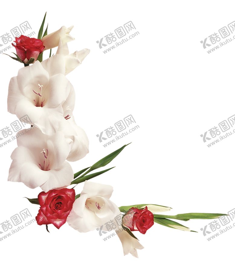 编号：59344010112301344862【酷图网】源文件下载-红色背景