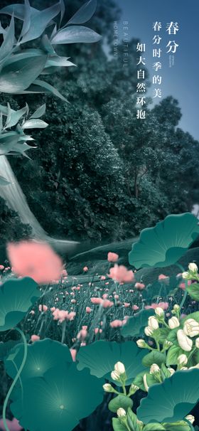 荷塘绿意中的粉色荷花绽放