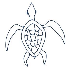 手绘海洋生物
