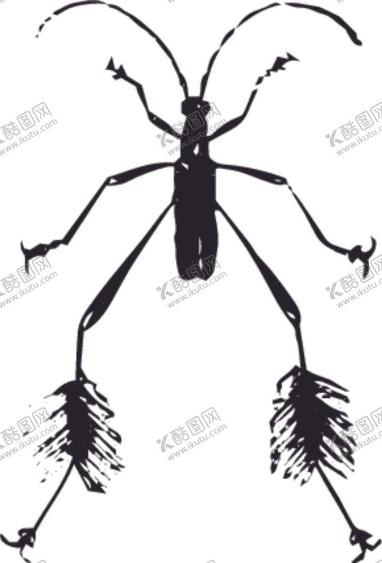 编号：48926507071208559536【酷图网】源文件下载-自然昆虫标本插画