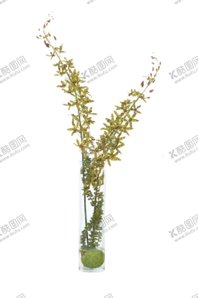 编号：25813711011104379974【酷图网】源文件下载-免抠背景花草树木