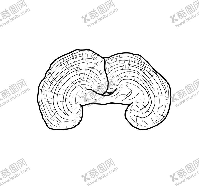 编号：64540306180548583414【酷图网】源文件下载-灵芝