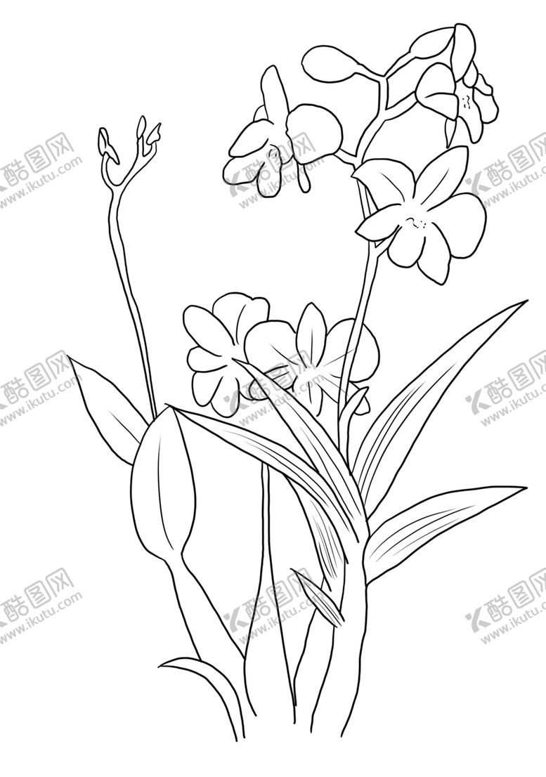 编号：38438709200151348017【酷图网】源文件下载-石斛