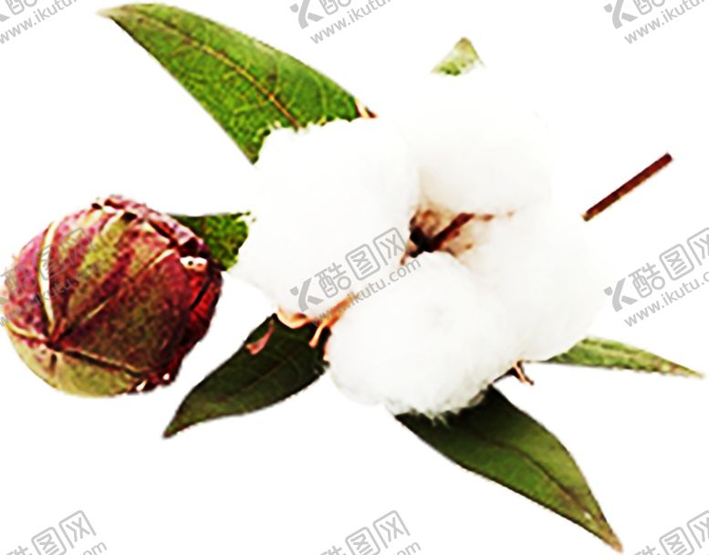 编号：80296110282157358289【酷图网】源文件下载-浪漫素材