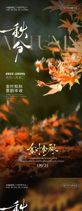 信息分之图