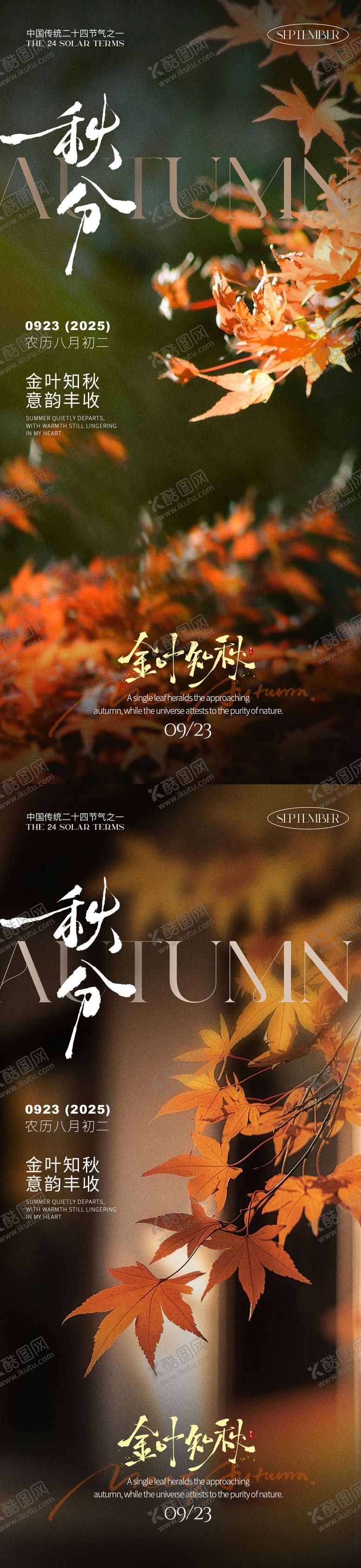 编号：49330909221926113258【酷图网】源文件下载-秋分之枫叶海报