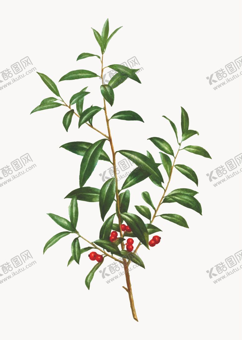 编号：53469907130534169330【酷图网】源文件下载-花纹