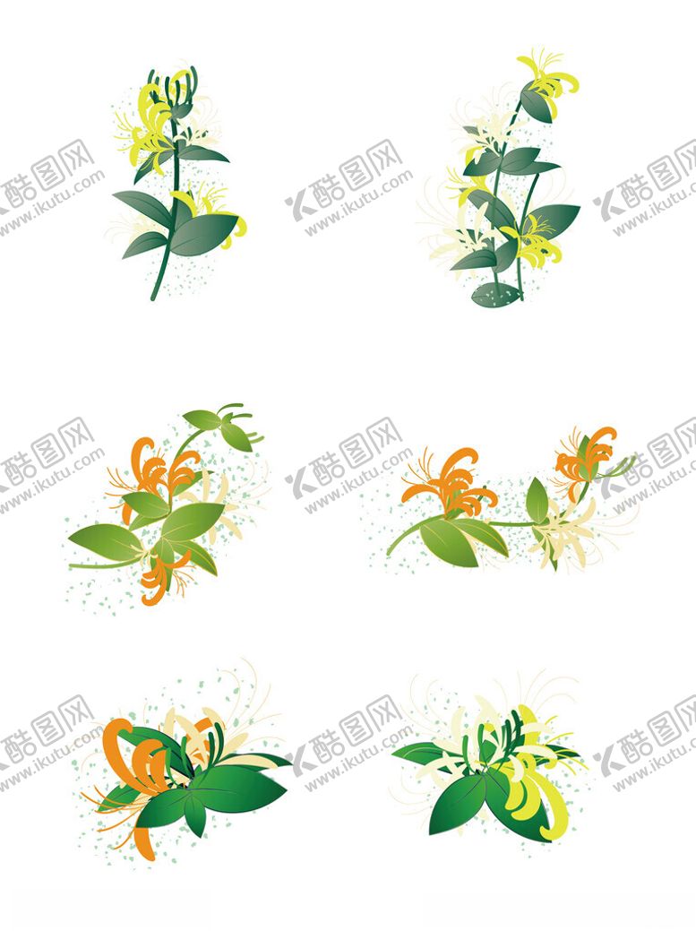 编号：60109202211722083920【酷图网】源文件下载-金银花
