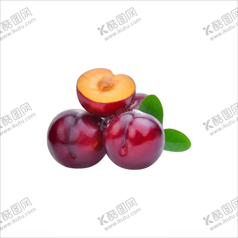 编号：60570301200316186389【酷图网】源文件下载-李子矢量图